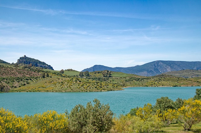 infografía ciclo gastos mensuales categorización